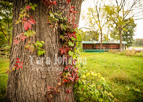 Long's Family Orchard, Farm & Cider Mill - TJP (23 of 50)