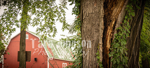 Long's Family Orchard, Farm & Cider Mill - TJP (28 of 50)