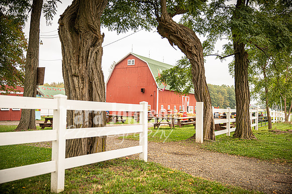 Long's Family Orchard, Farm & Cider Mill - TJP (29 of 50)