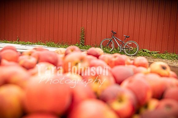 Long's Family Orchard, Farm & Cider Mill - TJP (38 of 50)