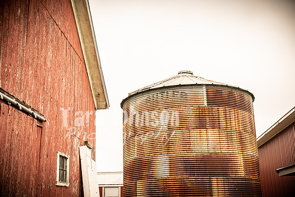 Long's Family Orchard, Farm & Cider Mill - TJP (39 of 50)