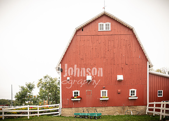 Long's Family Orchard, Farm & Cider Mill - TJP (40 of 50)