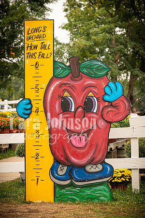 Long's Family Orchard, Farm & Cider Mill - TJP (41 of 50)