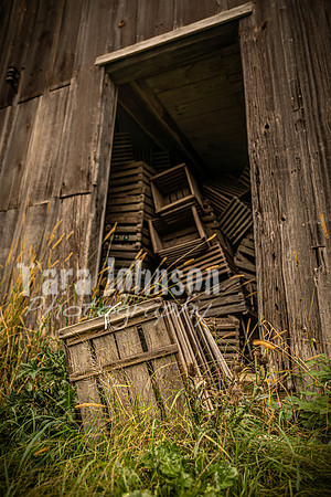 Long's Family Orchard, Farm & Cider Mill - TJP (46 of 50)