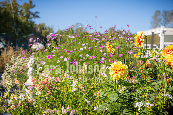 Michael & Ashlee McGrath - Venue - TJP (25 of 57)