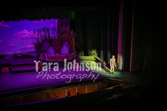 2024 MTC - Honk - Senior Show (Thursday) - TJP (94 of 360)