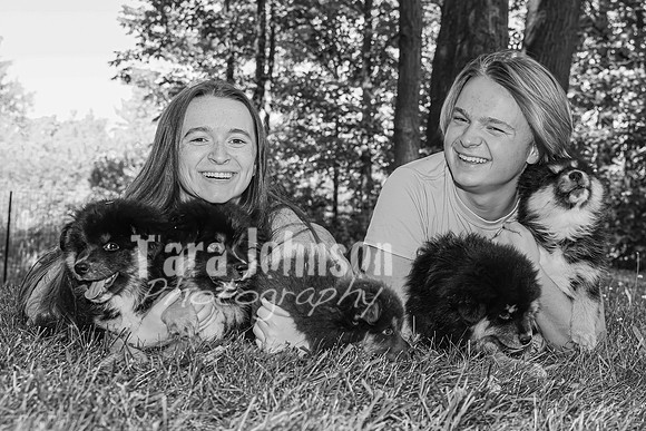 Bryde Family & Finish Lapphund Pups - BW - TJP (49 of 60)