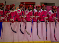 2025 Pink In The Rink- AA (1 of 29)