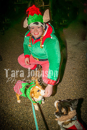 2023 Corgi Parade - TJP (1 of 18)