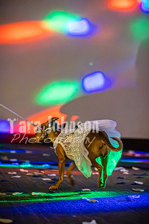 Mitch & Kelly - The Dance - TJP (93 of 99)