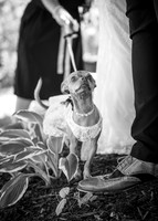24 M. & K. Eaton Wedding [Full Collection B&W] - DH (9 of 352)
