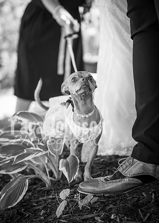 24 M. & K. Eaton Wedding [Full Collection B&W] - DH (9 of 352)