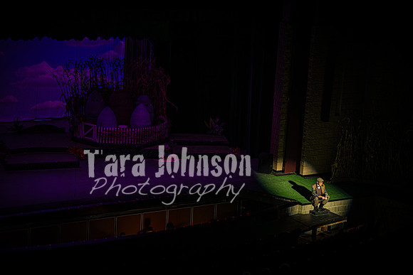 2024 MTC - Honk - Senior Show (Thursday) - TJP (98 of 360)