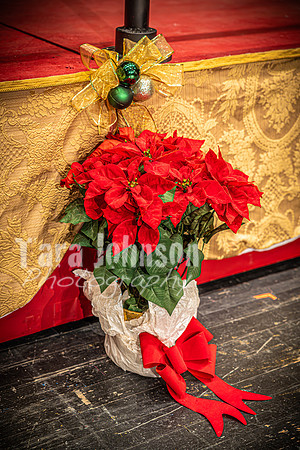 23 LHS Theatre - 34th- R2 - TJP (98 of 583)