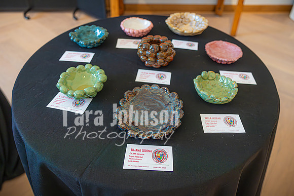 2025 OLSM Art Show - Art Selections - TJP (21 of 237)