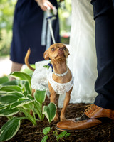 24 M.  K. Eaton Wedding Highlights - DPH (1 of 47)