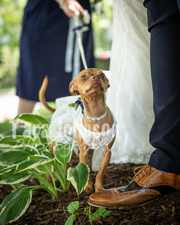 24 M.  K. Eaton Wedding Highlights - DPH (1 of 47)