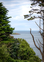 Killiney Hill Hike - Full Collection (14 of 77)