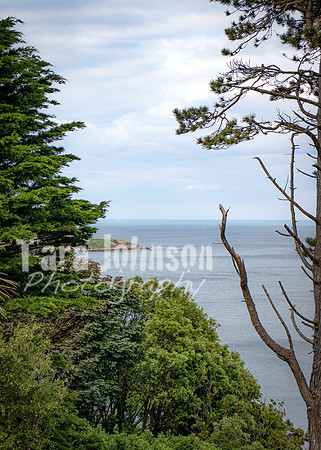Killiney Hill Hike - Full Collection (14 of 77)