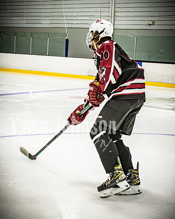 2021 MHS Hockey - #20 Adam Moule - TJP (20 of 52)