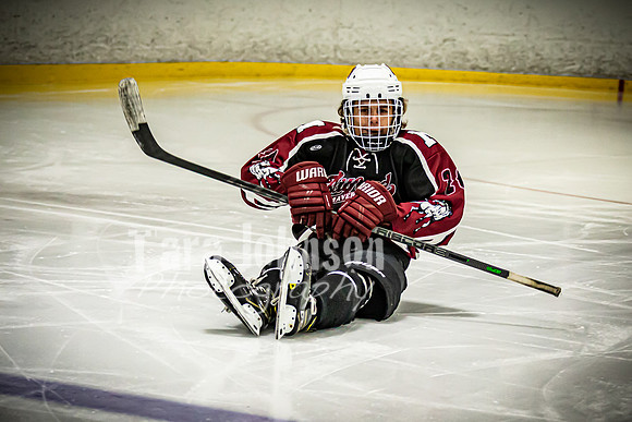 2021 MHS Hockey - #20 Adam Moule - TJP (36 of 52)