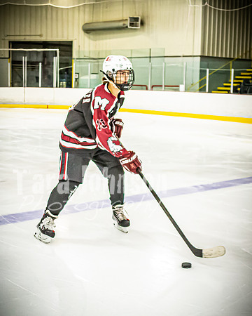 2021 MHS Hockey - #33 James Pennebaker - TJP (11 of 49)