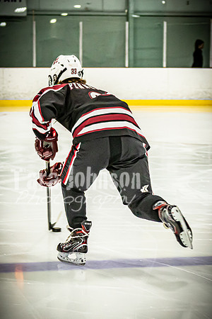 2021 MHS Hockey - Celebration, Logo & Fun - TJP (1 of 67)