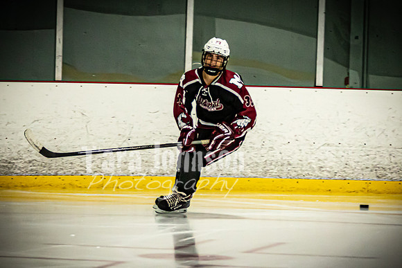 2021 MHS Hockey - Celebration, Logo & Fun - TJP (5 of 67)
