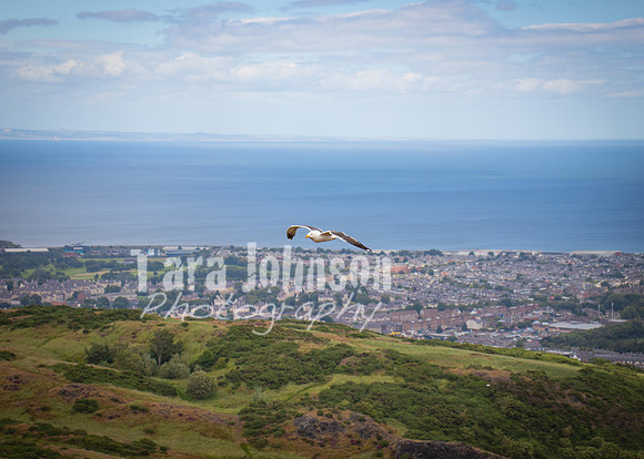 Edinburgh - Scotland Trip (98 of 177)
