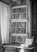 24 D & B Law Wedding - Full Collection B&W (11 of 308)