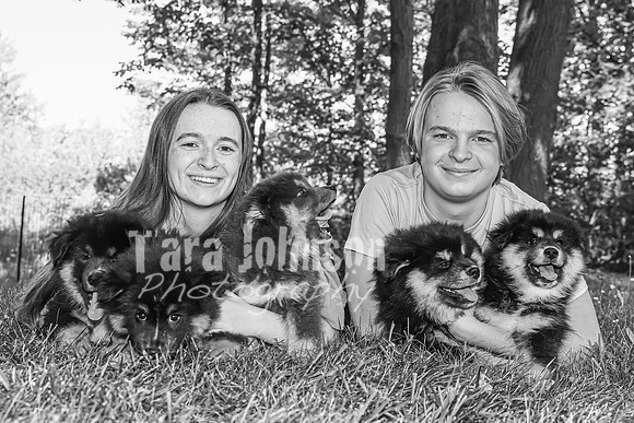 Bryde Family & Finish Lapphund Pups - BW - TJP (53 of 60)