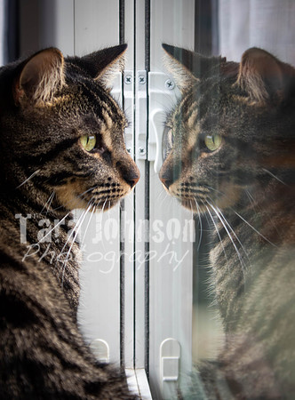 KEEP.NFP (15 of 152)