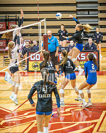 24 LHS Vball vs. MHS 9-19 - TJP (109 of 156)
