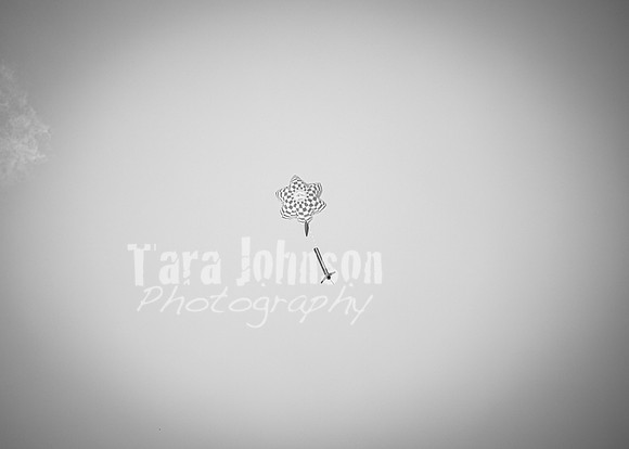 24 M. & K. Eaton Wedding [Highlights B&W] - DH (31 of 47)