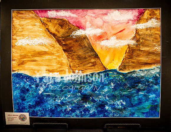 2025 OLSM Art Show - Art Selections - TJP (38 of 237)