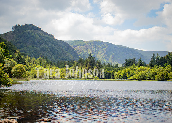 Glendalough Field Trip (56 of 117)