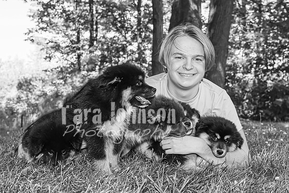 Bryde Family & Finish Lapphund Pups - BW - TJP (44 of 60)