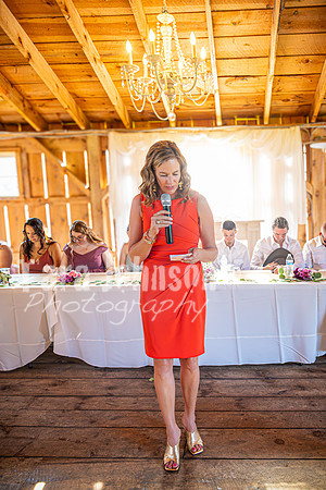 Doug & Bridget Law - Reception - TJP (43 of 193)