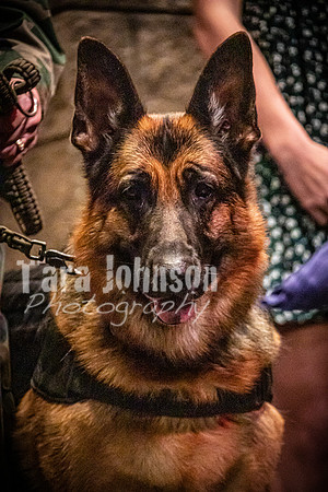 2021 MHS 11-12 Veterans Ceremony- TJP (21 of 31)