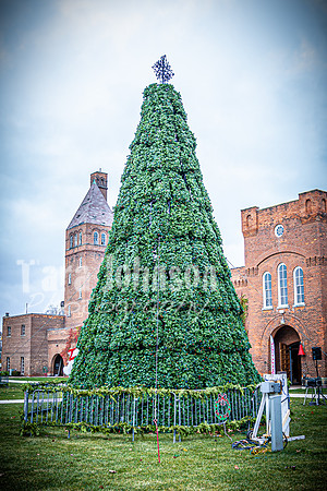 2024 OLS Christmas Tree Lighting - TJP (17 of 70)