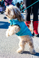 MLK Dog - TJP (6 of 11)