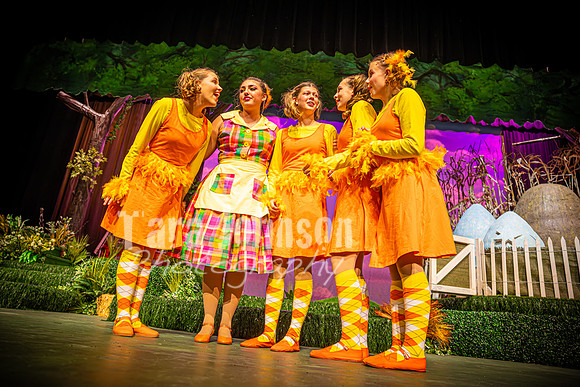 2024 MTC - Honk - R2 (Tuesday) - TJP (115 of 1192)