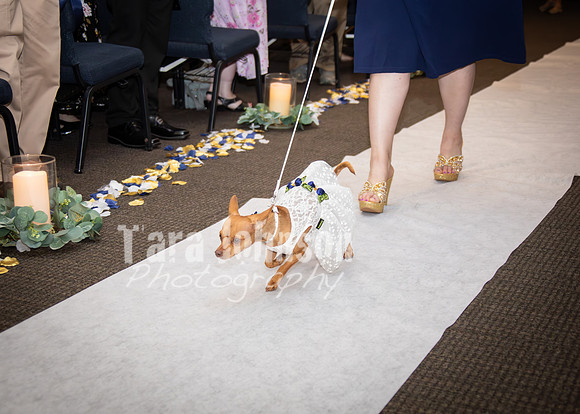24 M. & K. Eaton Wedding [Ceremony] - DH (99 of 100)