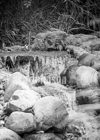 24 D & B Law Wedding - Full Collection B&W (14 of 308)