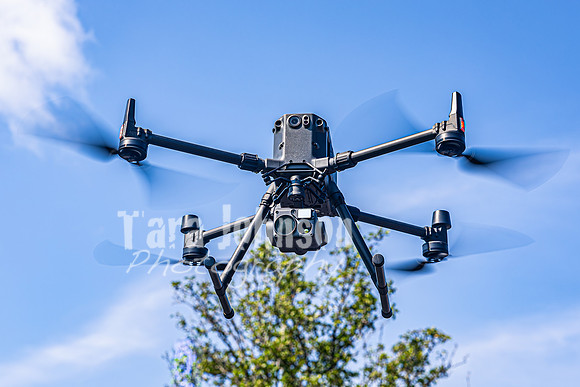 2024 DSI - Website 8 - TJP (23 of 32)