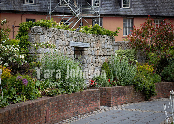Dublin Castle - The Garden (4 of 36)