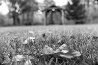 Laskowski Family - BW - TJP (4 of 107)