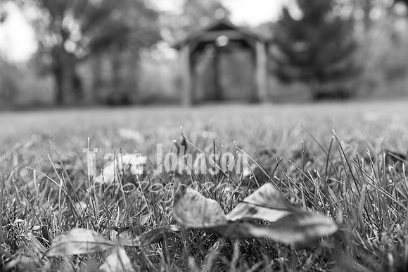 Laskowski Family - BW - TJP (4 of 107)