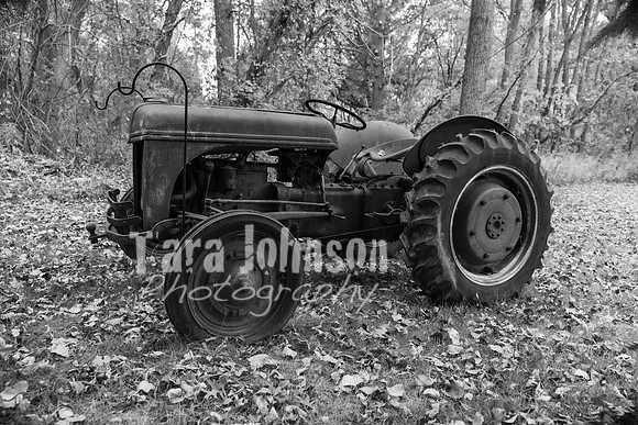 Laskowski Family - BW - TJP (9 of 107)