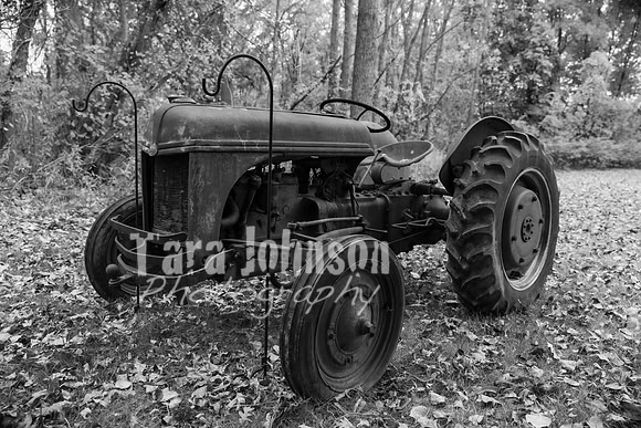 Laskowski Family - BW - TJP (10 of 107)